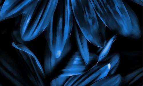 Tagataust tutvustusele