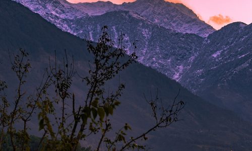 digvijoy-mazumdar-EQoDDeVyjQA-unsplash