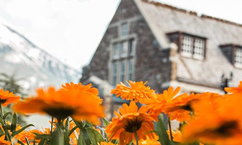 kat-castro-fipHkmiHI90-unsplash